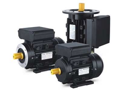 ML Series Single-phase Dual-capacitor Asynchronous Motors